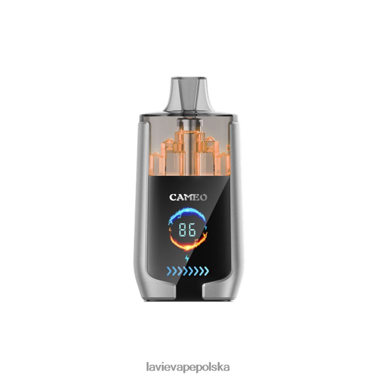 Lavie Vape Polska 6228N215 LAVIE CAMEO 30 000 zaciągnięć lód jagodowy