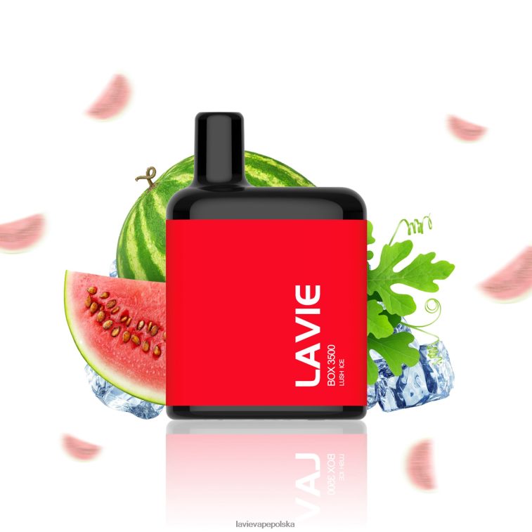 Lavie Vape Polska 6228N2211 LAVIE BOX 3500 zaciągnięć bujny lód