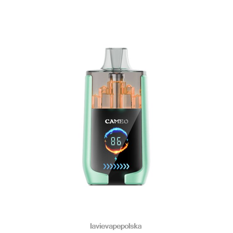 Lavie Vape Price 6228N220 LAVIE CAMEO 30 000 zaciągnięć podwójne jabłko