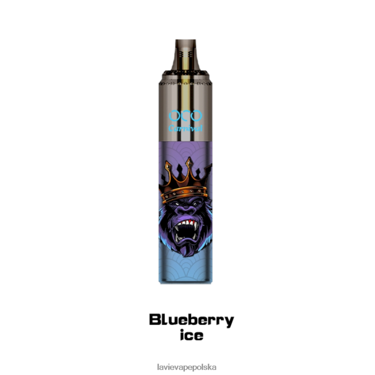 Lavie Vape Price 6228N2349 LAVIE OCO karnawał 10000 zaciągnięć lód jagodowy