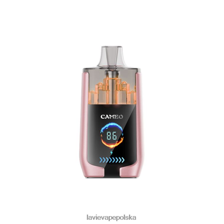 Lavie Vape Reddit 6228N219 LAVIE CAMEO 30 000 zaciągnięć owoce tropikalne