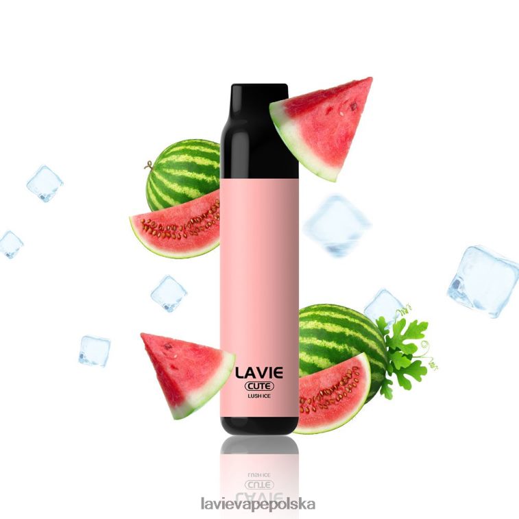 Lavie Vape Reddit 6228N2285 LAVIE BAR 3000 zaciągnięć bujny lód