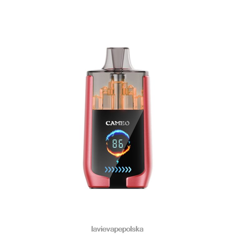 Lavie Vape Review 6228N214 LAVIE CAMEO 30 000 zaciągnięć lód arbuzowy