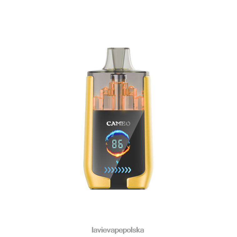 Lavie Vape Review 6228N221 LAVIE CAMEO 30 000 zaciągnięć lód mango