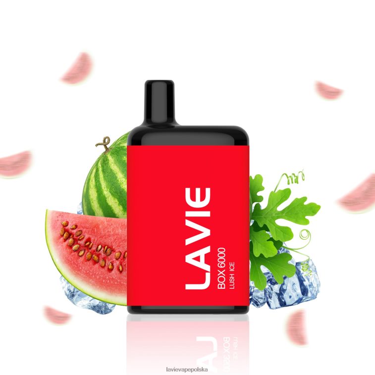 Lavie Vape Sklep 6228N2199 LAVIE BOX 6000 zaciągnięć bujny lód