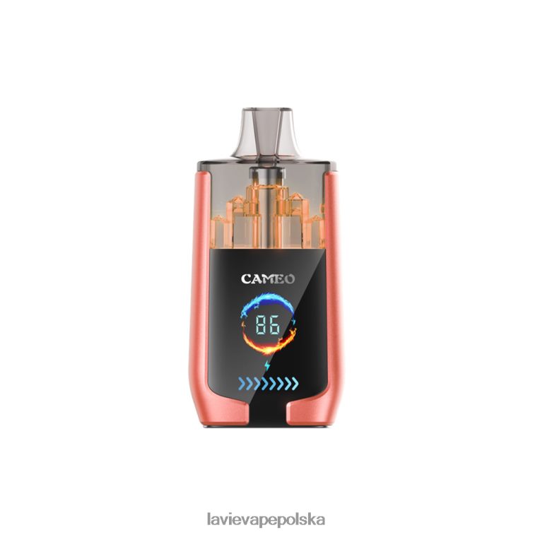 Lavie Vape Sklep 6228N224 LAVIE CAMEO 30 000 zaciągnięć arbuz truskawkowy